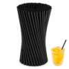 Paille Plastique Simple Noire